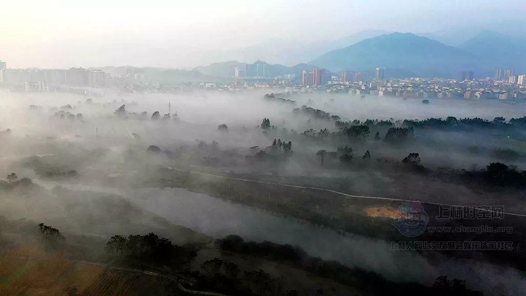 拯救蓝色小鸟