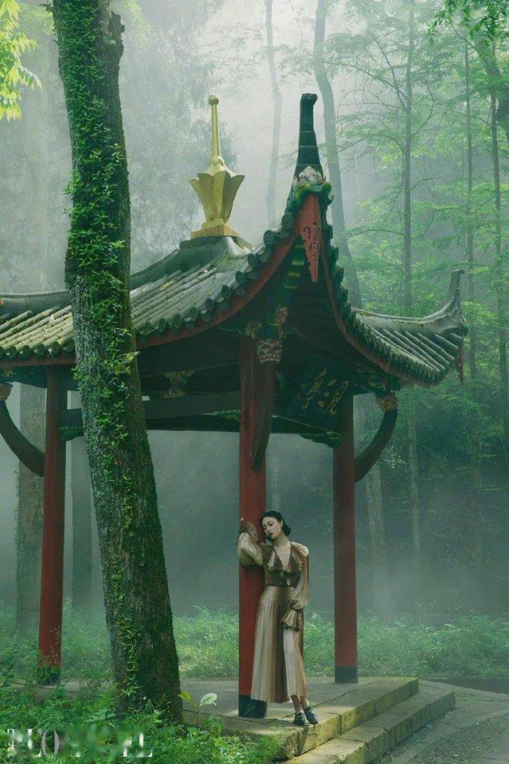 植物大战僵尸16