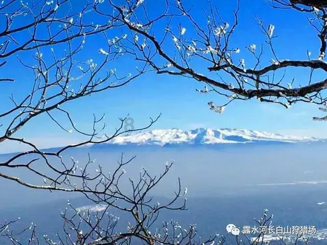 兽人必须死