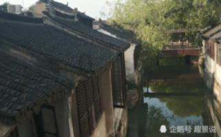 寻找沙漠珍宝